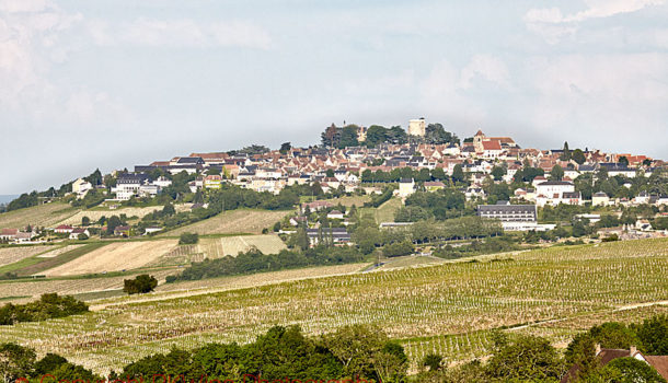 Vingårdar nedanför byn Sancerre, Loire