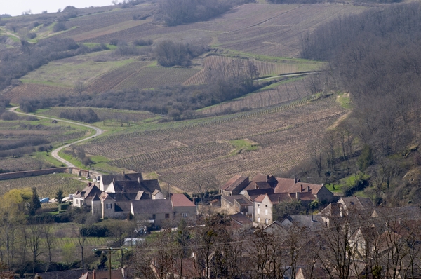En liten by på landet i Bourgogne, mitt bland vingårdarna