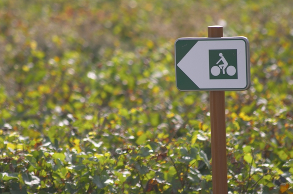 En cykelskylt i vingården