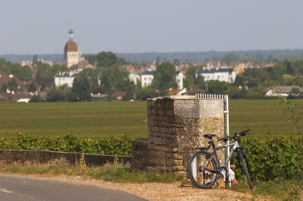 Vingårdar och staden Beaune