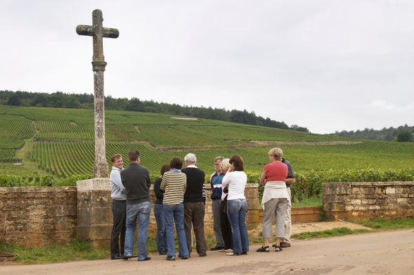 Besök i de berömda vingårdarna