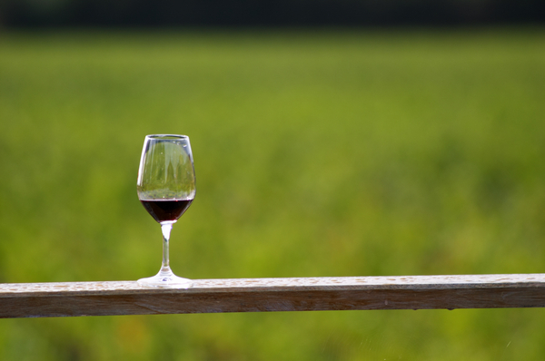 Ett vinglas på terrassen med utsikt över vingården