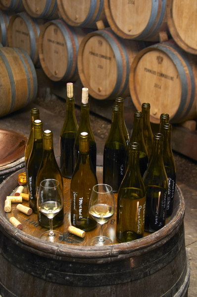 Flaskor och vinfat i källaren för en vinprovning