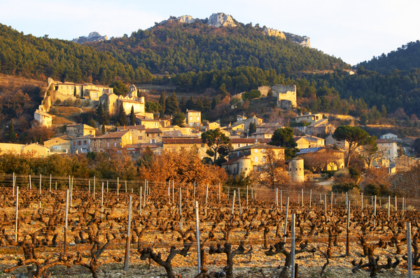 En vinby på bergssluttningen med utsikt över vingårdarna