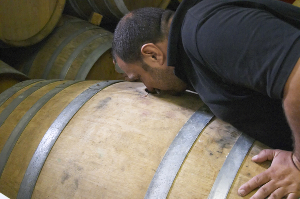 En vinmakare luktar på ett vinfat