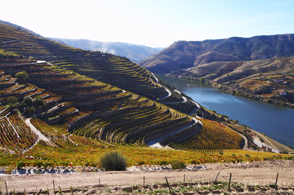 Dourodalen med terrasserade vingårdar