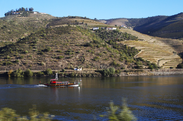En båt glider uppför Dourofloden längs de terrasserade vingårdarna