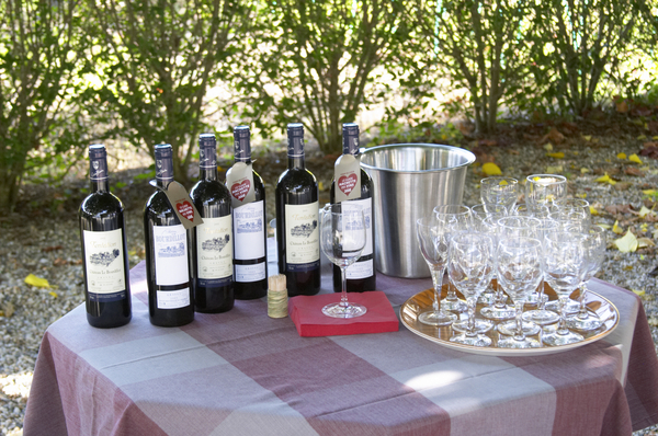 Vinprovning i trädgården hos en vinproducent