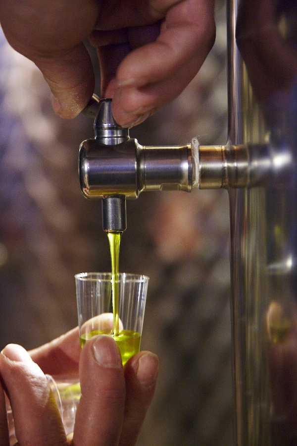 Ett smakprov olivolja direkt ur tanken