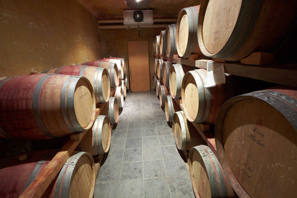 Oak barrels with wine in the wine cellar