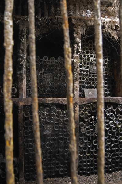 Bottles in the wine cellar