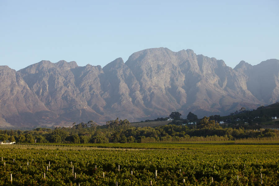 Vingårdar och bergsformationer i Franschhoek