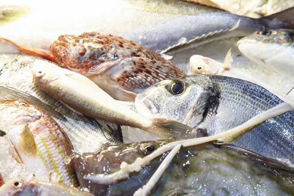 Färsk fisk på en marknad på Sicilien