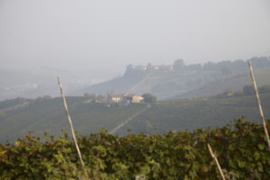 Vy över landskapet och vingårdar med den berömda dimman