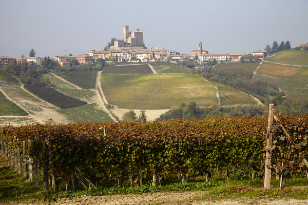 Vingårdar och en liten by i Piemonte