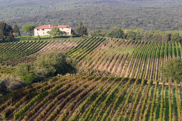 Vingårdar och en villa på en kulle i Toscana