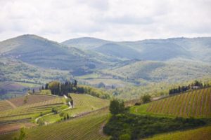Böljande landskap i Toscana