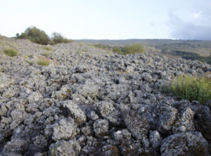 Den svarta jorden på Etna