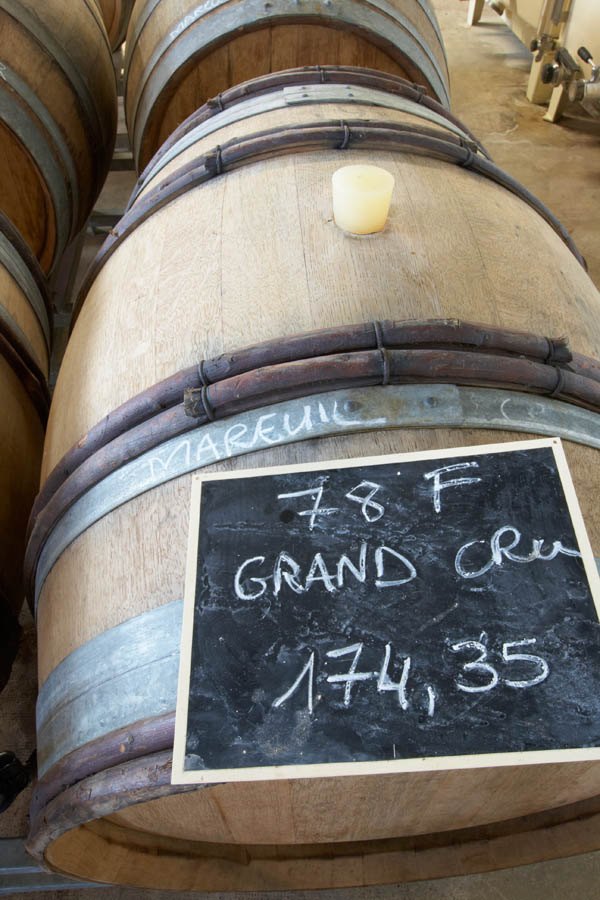 Ett fat med grand cru-vin i källaren hos Champagnes Benoit Marguet