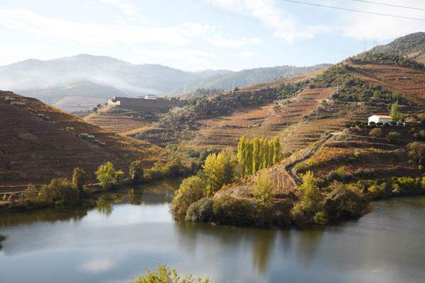 Utsikt i Dourodalen från Quinta do Tedo