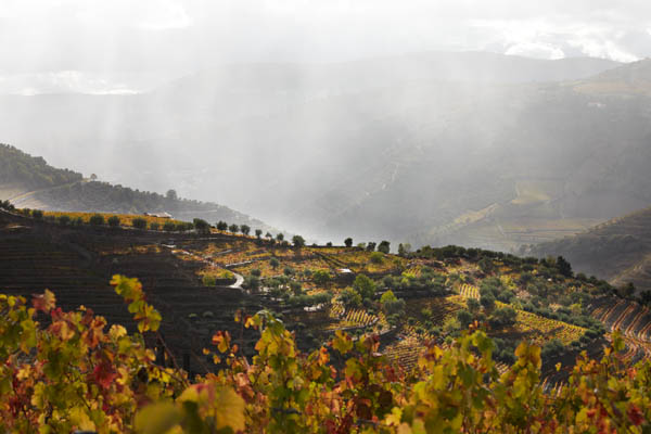 Utsikt över vingårdar och dalen i regn och sol, Dourodalen