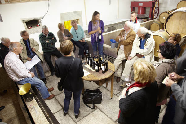 Vinprovning i vinkällaren