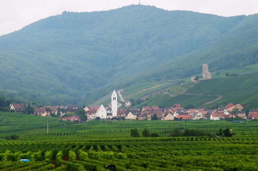 Byn Katzentahl med vingårdar i Alsace