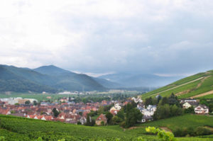 Utsikt över Turckheim, vingårdar och landskapet i Alsace