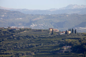 Vingårdar och landskap i Valpolicella