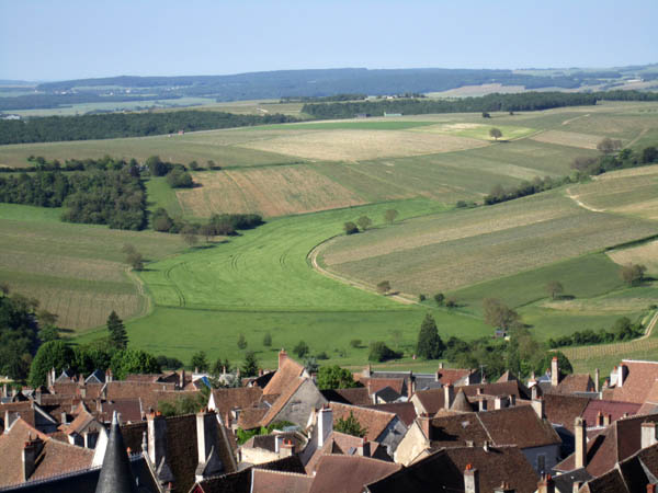 Vingårdar och fält i Sancerre, Loire, och hustaken