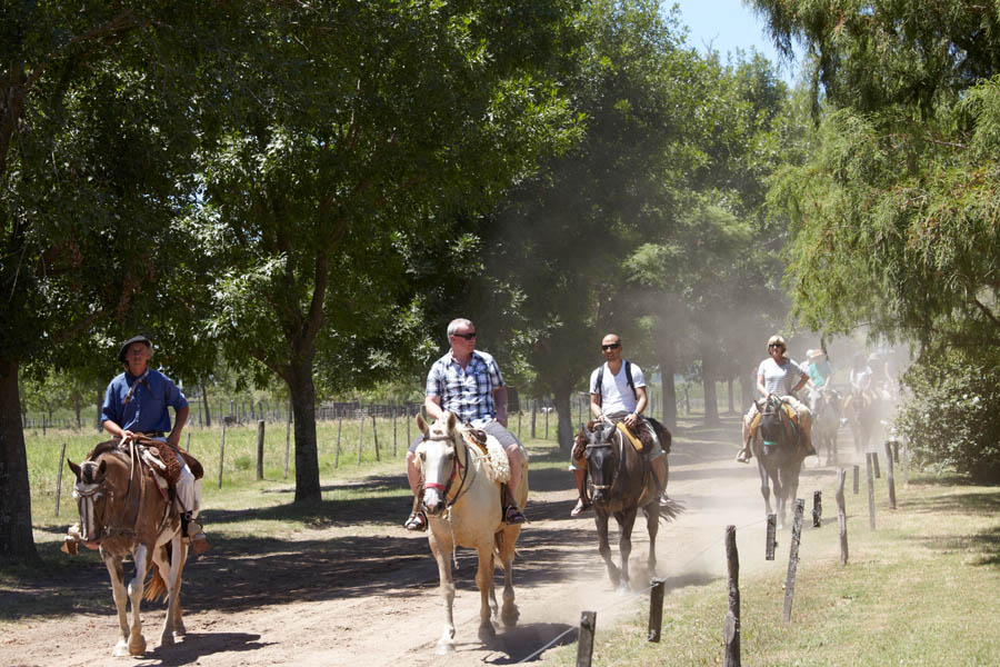 Med häst på en estancia över Pampas i Argentina