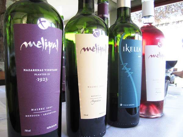 Tasting wines at Bodega Melipal in Mendoza Argentina