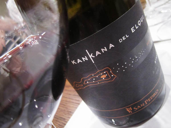 Viña San Pedro Kankana del Elqui Syrah 2009 Elqui Valley