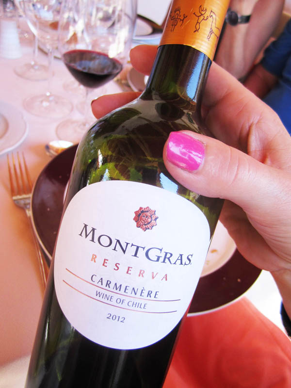 Montgras Carmenère Reserva 2012