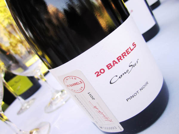 Cono Sur 20 Barrrels Pinot Noir 2011