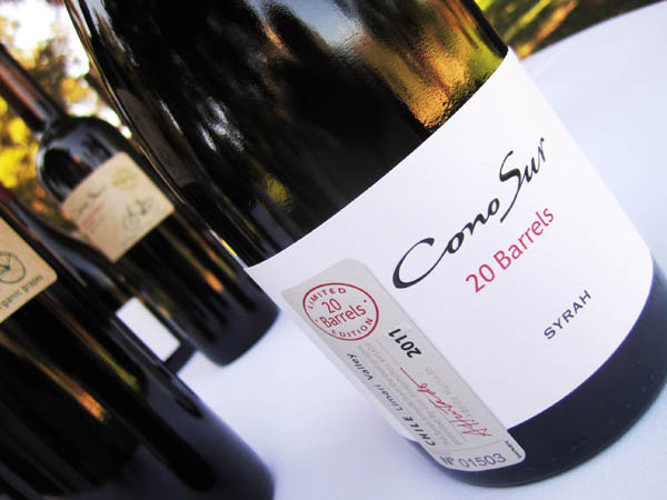 Cono Sur 20 Barrels Syrah 2011