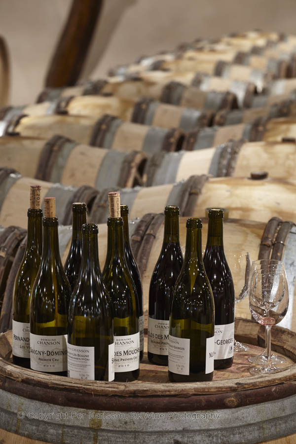 Vinprovning i vinkällaren hos Chanson i Beaune, Bourgogne
