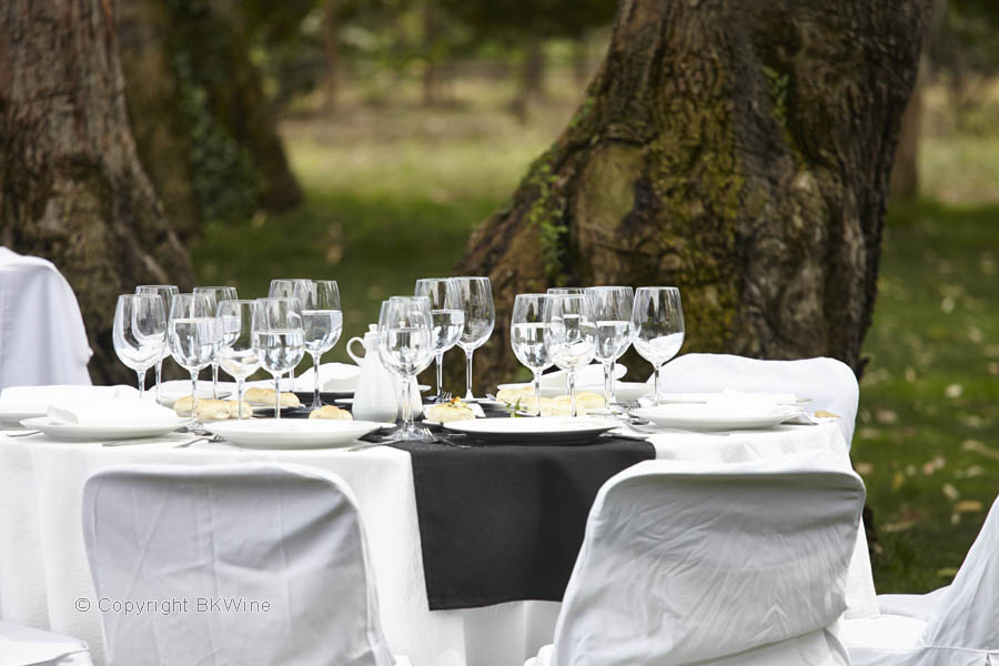 Lunch i vingården hos Emiliana i Casablanca Valley