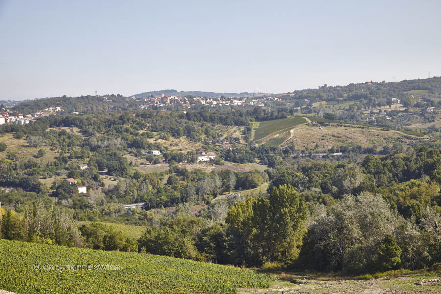 Landskapet i Kampanien med vingård