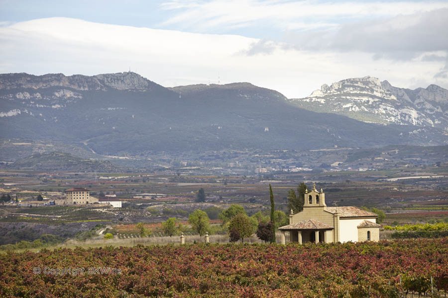 Landskap med vingårdar och berg, Rioja