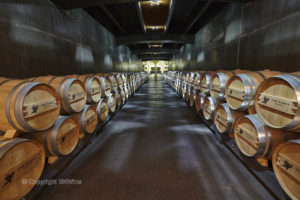 Ekfat i en modern vinkällare i Rioja