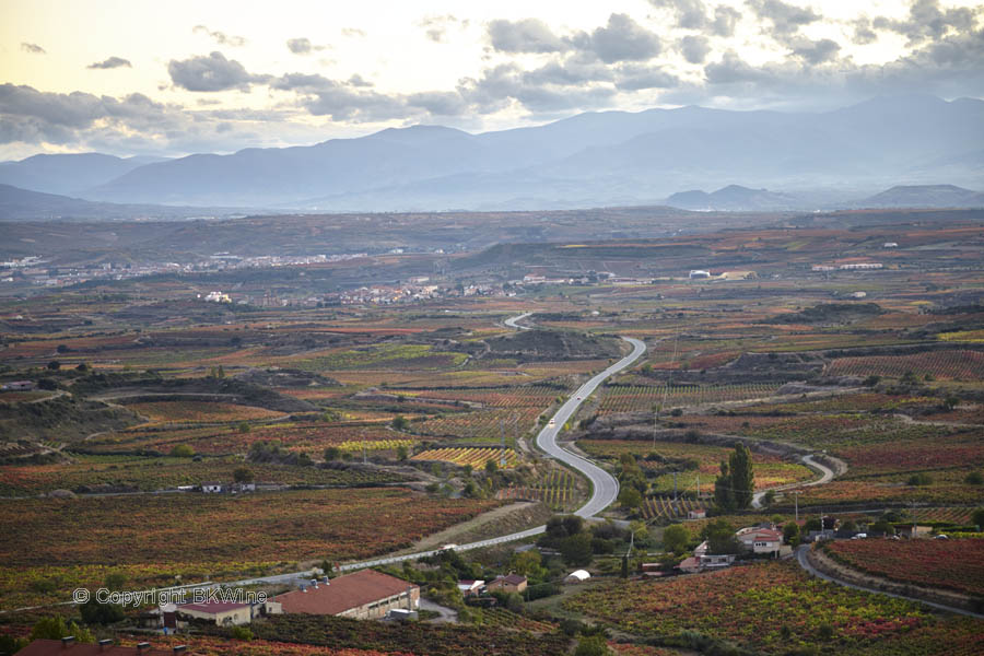 Landskap med vingårdar och berg, Rioja