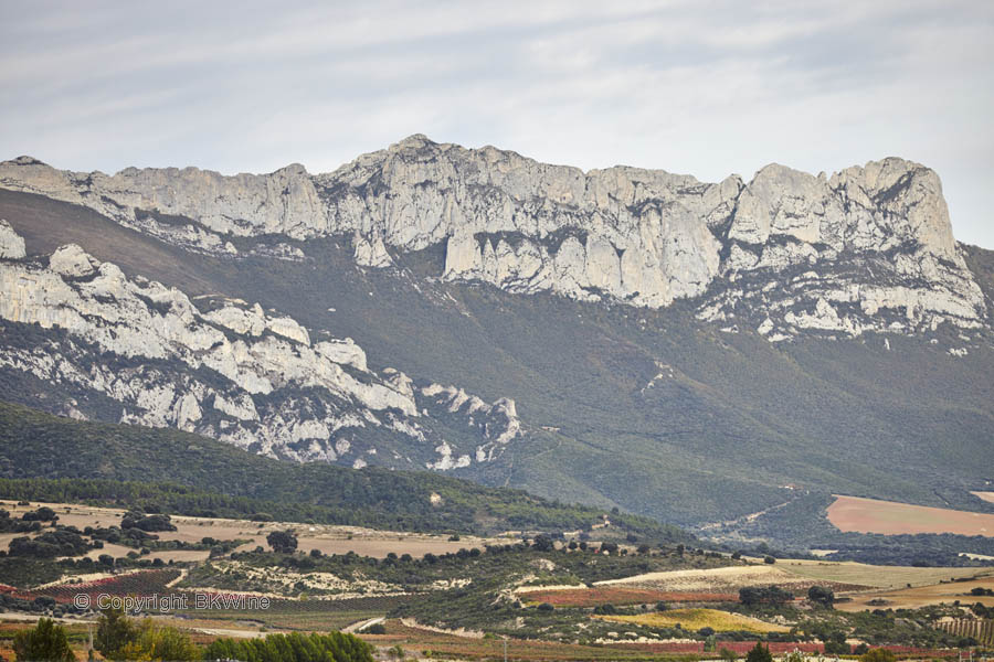 Landskap med vingårdar och berg, Rioja