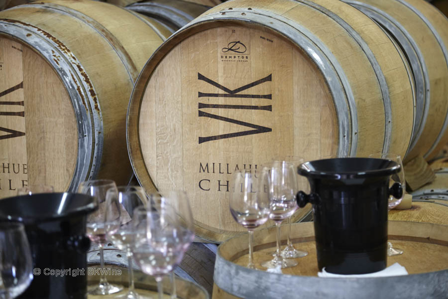 Vinprovning i vinkällaren i Chile