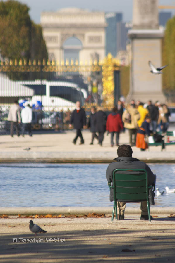 I Jardin des Tuileries, med Arc de Triomphe i Paris