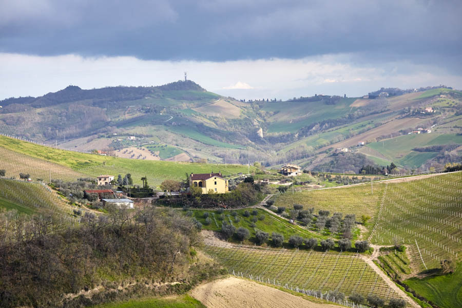 Böljande, kulligt landskap i Le Marche