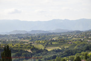 Landskap i Prosecco Valdobbiadene Conegliano