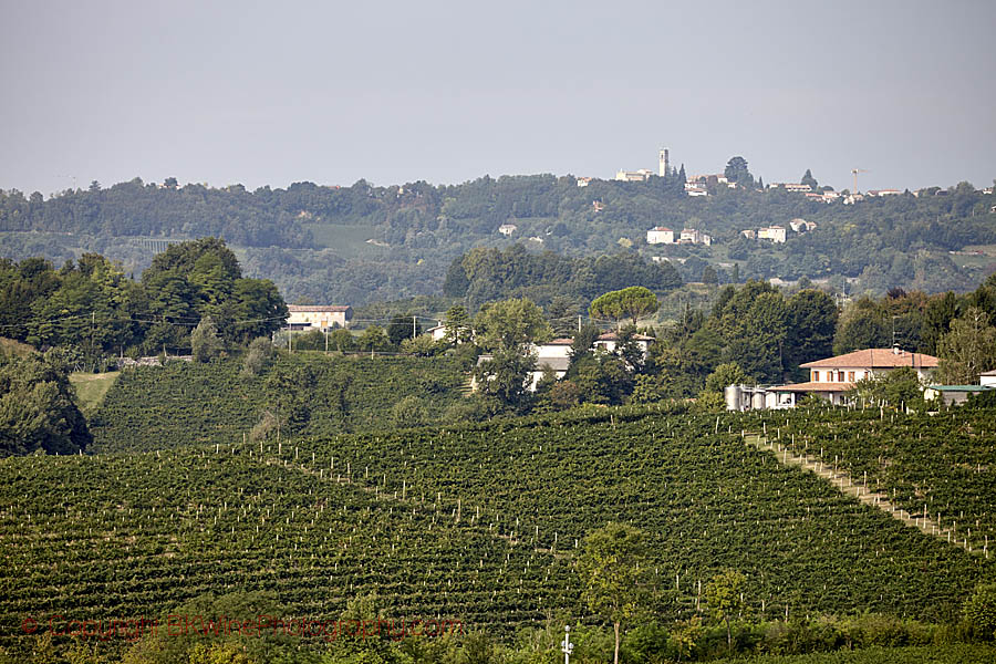 Kulligt vinlandskap i Veneto