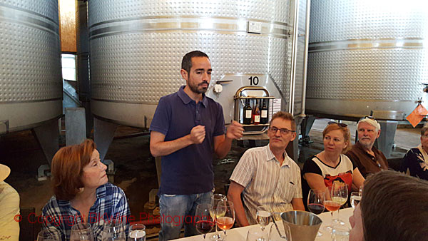 Vinmakaren berättar om vinerna mellan tankarna på Las Ninas