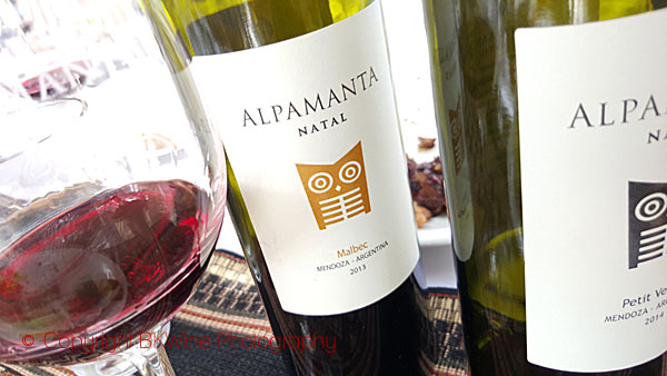 Provar olika viner till lunchen på Alpamanta, Mendoza